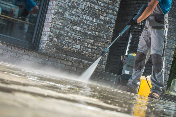Best Animal Enclosure Cleaning  in Ainaloa, HI